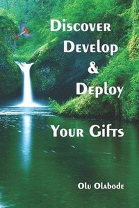 bokomslag Discover, Develop and Deploy Your Gifts