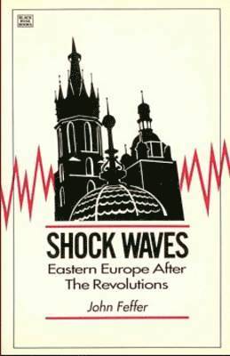 Shock Waves 1