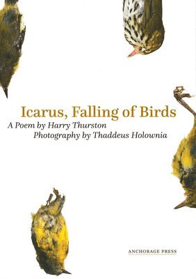 Harry Thurston - Icarus, Falling of Birds, Häftad