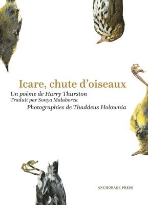 Harry Thurston - Icare, chute doiseaux, Häftad