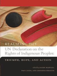 bokomslag Realizing the UN Declaration on the Rights of Indigenous Peoples