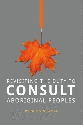 bokomslag Revisiting the Duty to Consult Aboriginal Peoples