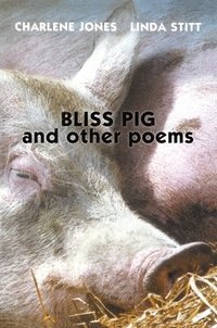 bokomslag Bliss Pig