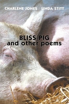 Bliss Pig 1