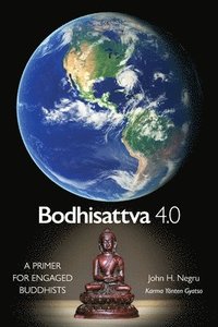 bokomslag Bodhisattva 4.0