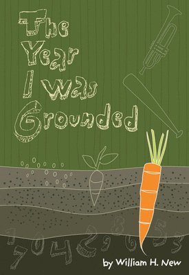 bokomslag Year I was Grounded