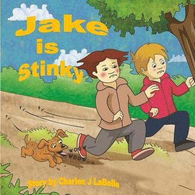 bokomslag Jake is Stinky