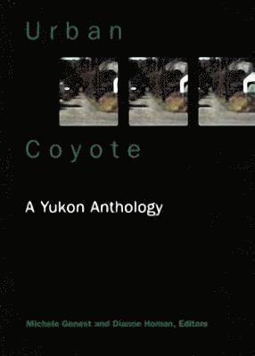 bokomslag Urban Coyote      A Yukon Anthology