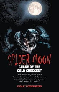 bokomslag Spider Moon