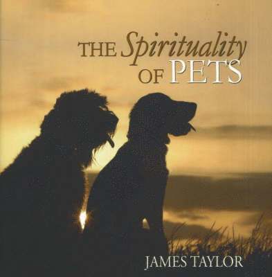 The Spirituality of Pets