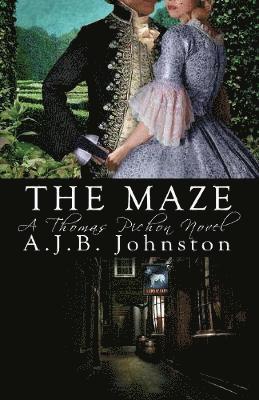 bokomslag The Maze, a Thomas Pichon Novel