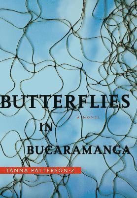 Butterflies in Bucaramanga 1