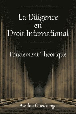 La Diligence En Droit International Fondement Thorique 1