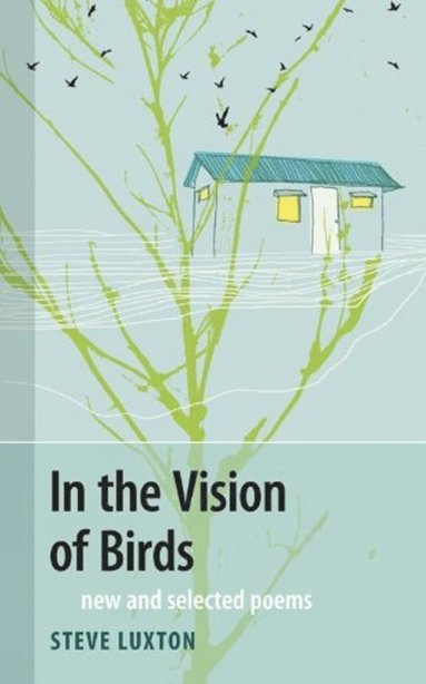 bokomslag In the Vision of Birds