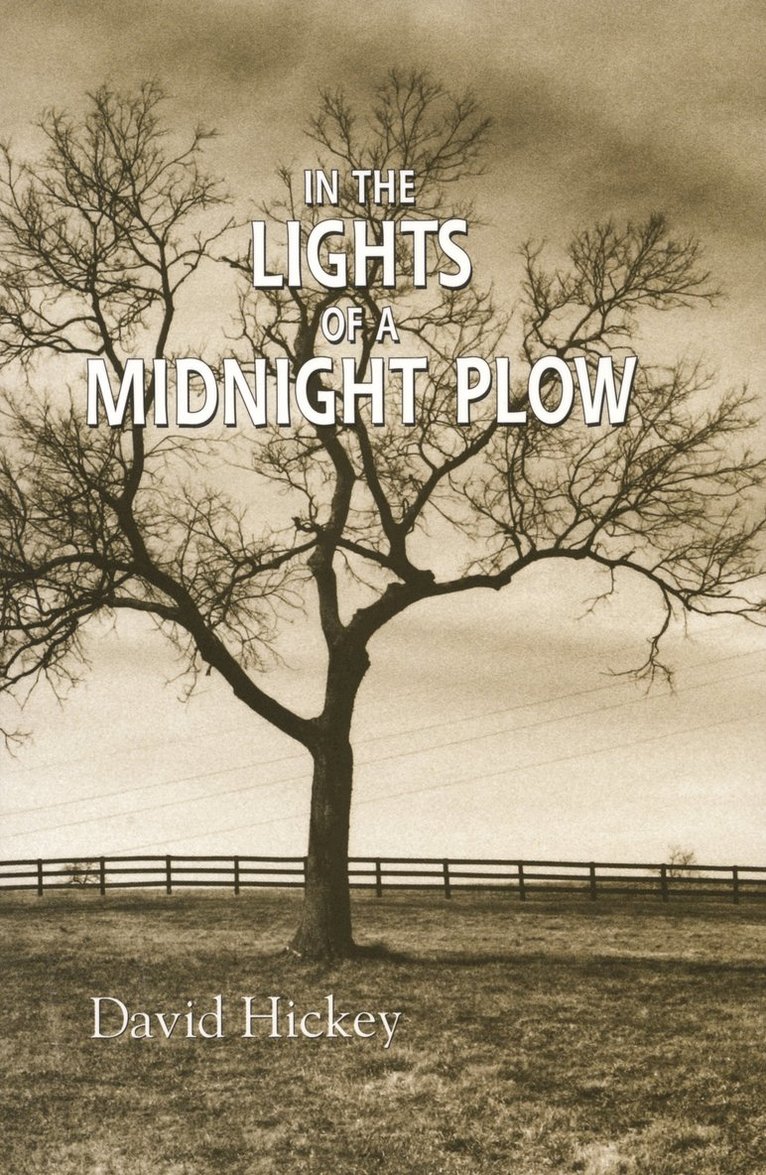 In the Lights of a Midnight Plow 1