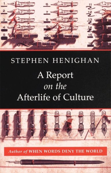 Stephen Henighan - Report on the Afterlife of Culture, Häftad
