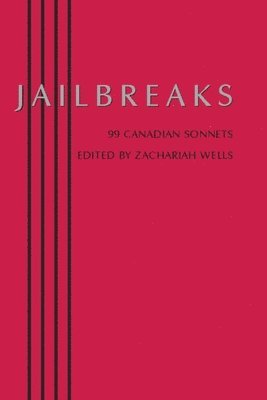 bokomslag Jailbreaks