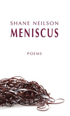 Meniscus
