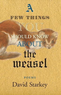 bokomslag Few Things You Should Know About the Weasel