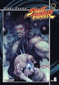 bokomslag Street Fighter Digest Volume 6: Final Round