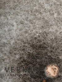 bokomslag Vermin
