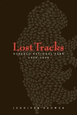 Lost Tracks 1