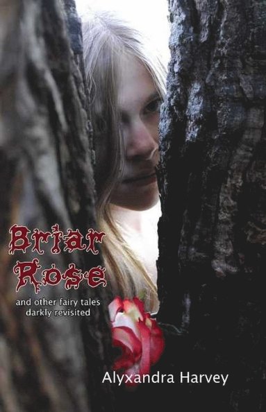 bokomslag Briar Rose