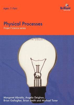 Margaret Abraitis, Angela Deighan, Brian Gallagher, Brian Smith, Michael Toner, M. Abraitis, A. Deighan, M, Abraitis, A, Deighan, B. Gallagher - Physical Processes, Häftad