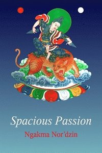 bokomslag Spacious Passion