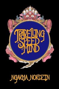 bokomslag Travelling at the Speed of Mind