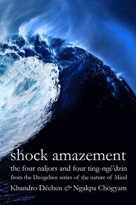 Shock Amazement 1