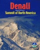 bokomslag Denali / Mount McKinley