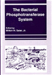 bokomslag Bacterial Phosphotransferase System