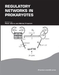 bokomslag Regulatory Networks in Prokaryotes
