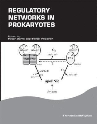 bokomslag Regulatory Networks in Prokaryotes