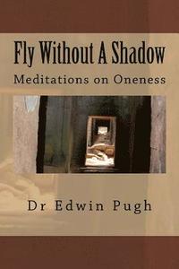 bokomslag Fly Without A Shadow: Meditations on Oneness