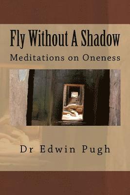 bokomslag Fly Without A Shadow: Meditations on Oneness