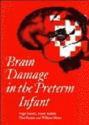 Nigel Paneth, Raoul Rudelli, Elias Kazam, Willliam Monte - Brain Damage in the Preterm Infant, Inbunden