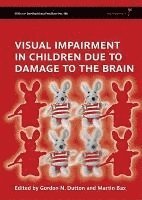 bokomslag Visual Impairment in Children due to Damage to the Brain