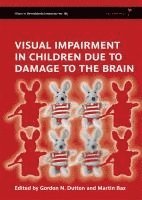 bokomslag Visual Impairment in Children due to Damage to the Brain