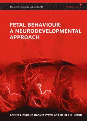 bokomslag Fetal Behaviour