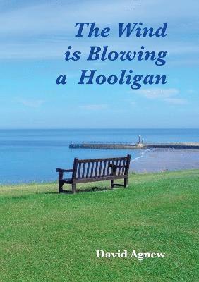 David Agnew - Wind is Blowing a Hooligan, Häftad