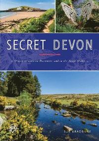 bokomslag Secret Devon