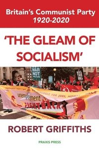 bokomslag 'The Gleam of Socialism'