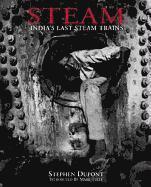 bokomslag Steam: India's Last Steam Trains