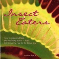 Insect Eaters 1