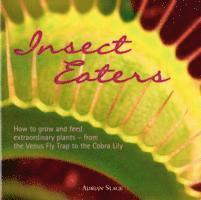 Insect Eaters
