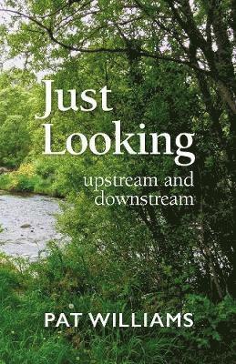 Pat Williams - Just Looking, Häftad