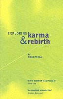 bokomslag Exploring Karma and Rebirth