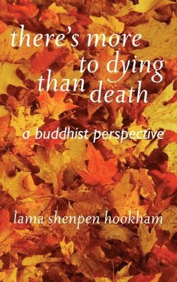 Lama Shenpen Hookman - There's More to Dying Than Death: A Buddhist Perspective, Häftad